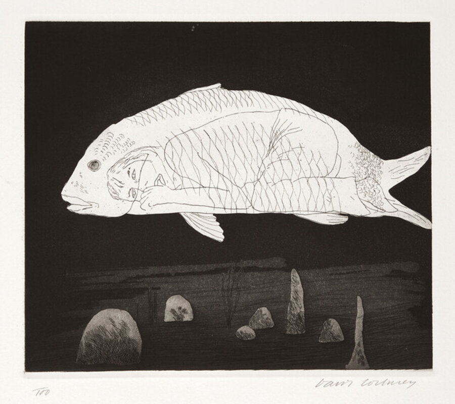 The Boy Hidden in a Fish
