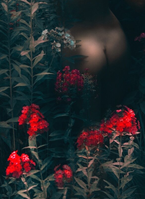 Erik Madigan Heck, ‘Magenta Dawn, The Garden’, 2018, Photography, Chromogenic print, CHRISTOPHE GUYE GALERIE 