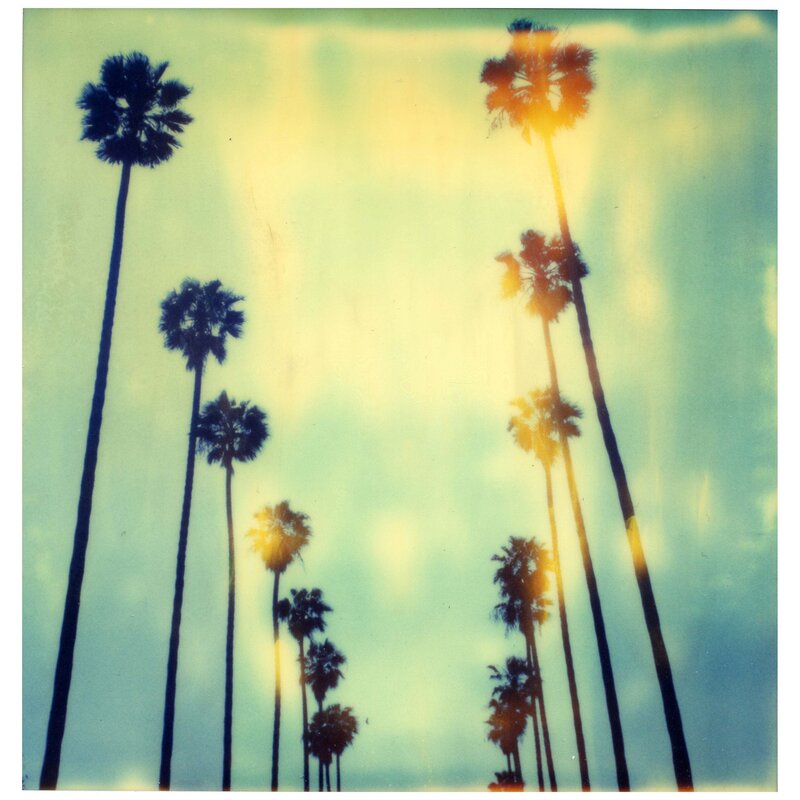 Stefanie Schneider, ‘Palm Trees at Wilcox’, 1999, Photography, Digital C-Print based on a Polaroid, not mounted, Instantdreams