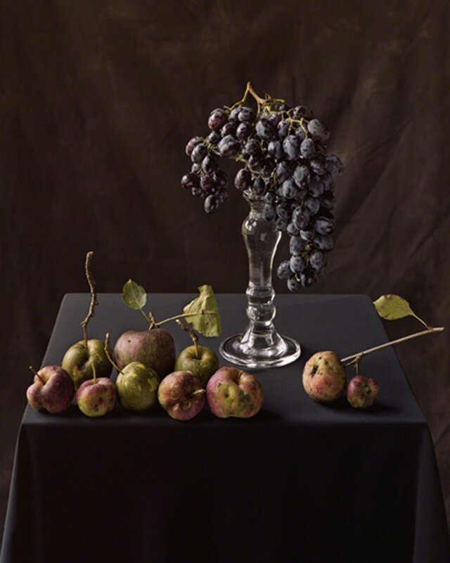 Tom Baril, ‘Apples and Grapes (833)’, 2006, Photography, Color negative digitally printed, Winston Wächter Fine Art