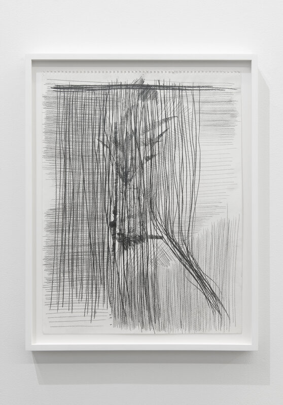 Derek Liddington, ‘Plant study behind closed window and shut blinds’, 2015, Drawing, Collage or other Work on Paper, Graphite on paper, Daniel Faria Gallery