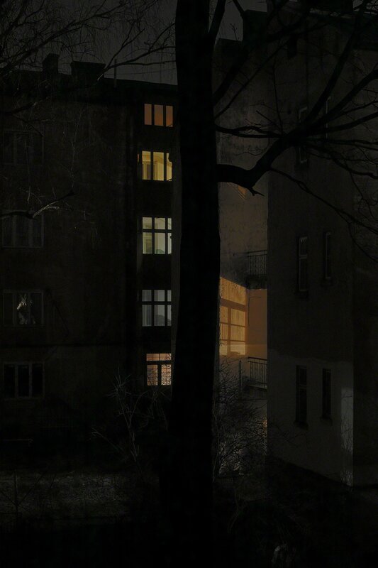 Boris Savelev, ‘night tree’, Photography, Printed on aluminium gesso coated, °CLAIRbyKahn Galerie