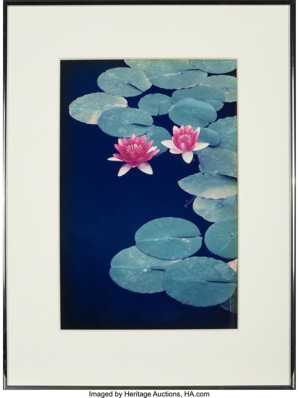 Allan Bruce Zee, ‘Lily Pads, Balboa Park, San Diego, California (two photographs)’, 1984, Photography, Dye coupler, Heritage Auctions