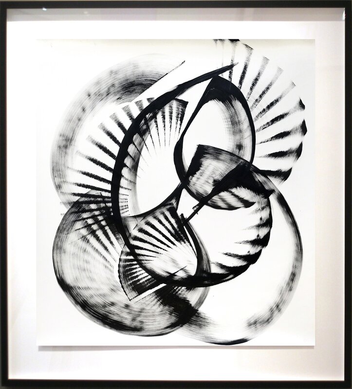 Thomas Hammer, ‘Flabellidium Spinosum (framed)’, 2015, Painting, Ink on Paper (framed), Artspace Warehouse