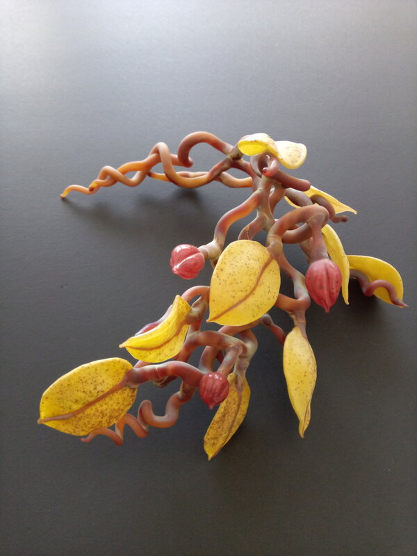 Kathleen Elliot, ‘Offerings #1, Red Buds’, 2013, Sculpture, Flameworked glass, magnolia, HABATAT