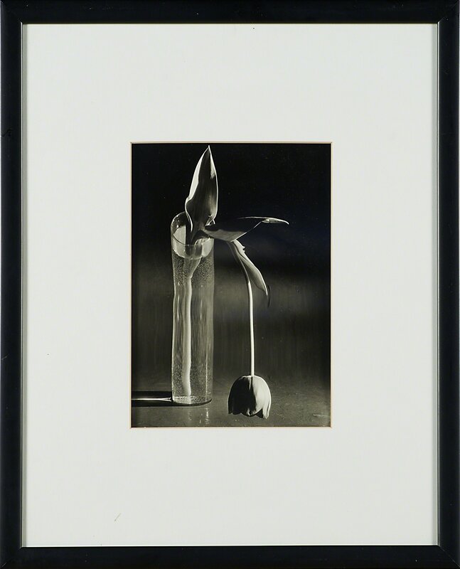 André Kertész, ‘Melancholic Tulip’, 1939 (printed 1985), Photography, Gelatin silver print (framed), Rago/Wright/LAMA/Toomey & Co.