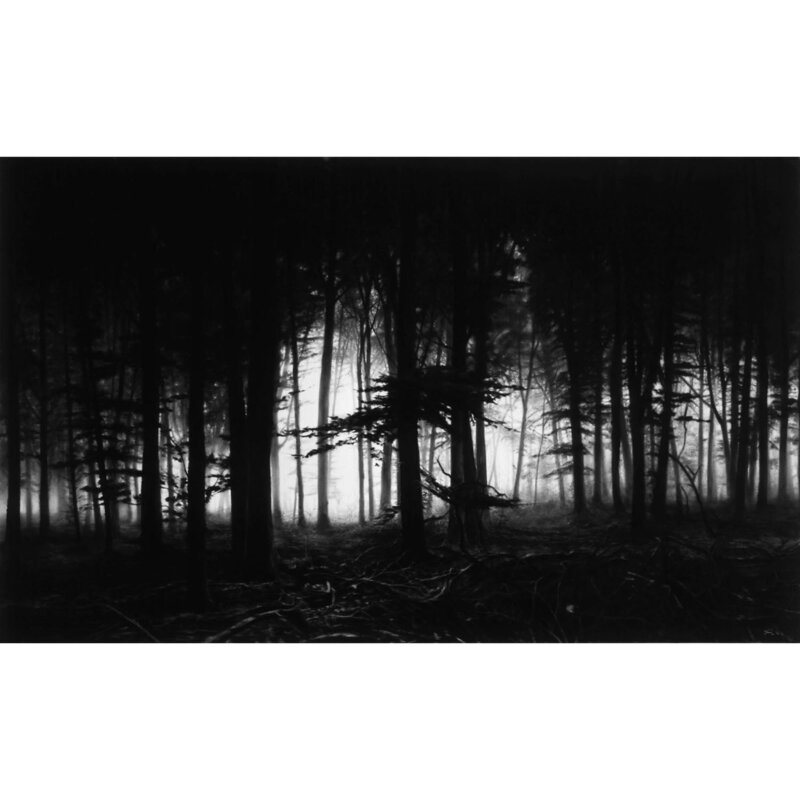 Robert Longo, ‘Forest Of Doxa’, 2014, Photography, Archival pigment print, Artsy x Rago/Wright