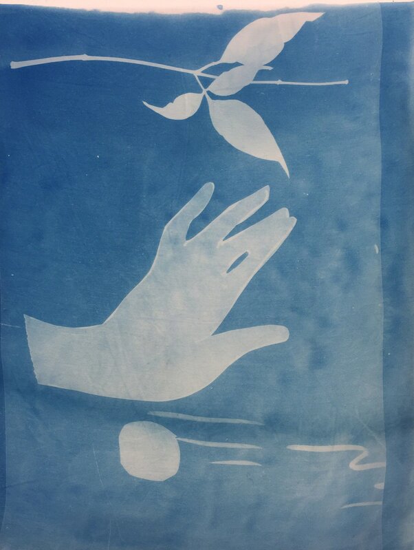 Kaye Donachie, ‘Untitled’, 2017, Print, Cyanotype, Ribot