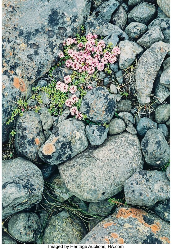 Eliot Porter, ‘Portfolio II: Iceland (twelve photographs)’, 1972, Photography, Dye transfer, 1975, Heritage Auctions