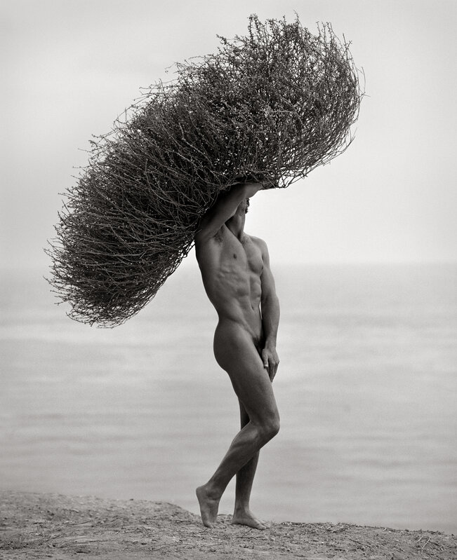 Herb Ritts, ‘"Male Nude with Tumbleweed"’, 1986, Photography, Platinum Print, Izzy Gallery