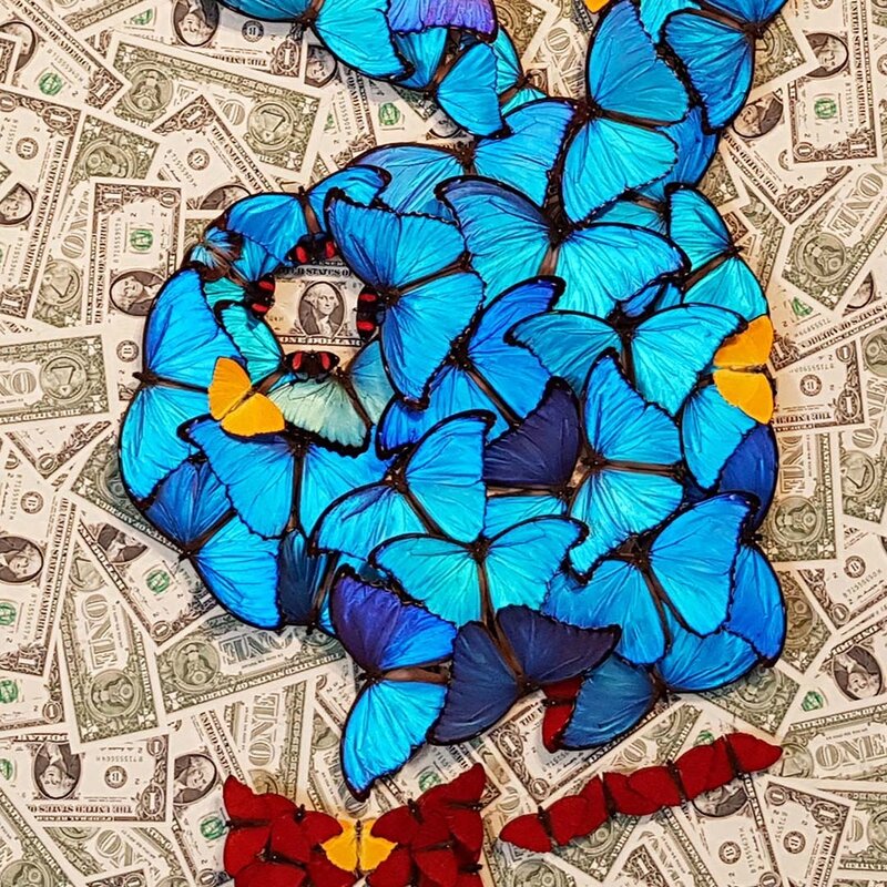 SN, ‘SEX & MONEY’, 2018, Drawing, Collage or other Work on Paper, Dollar bills on fine art paper with mounted butterflies., EDEN Gallery