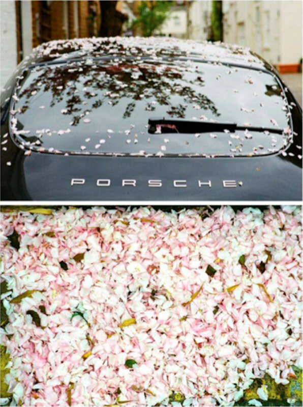 Yulia Lebedeva, ‘Sakura Rain’, 2011, Photography, C-type photographic print, flush-mounted, Imitate Modern