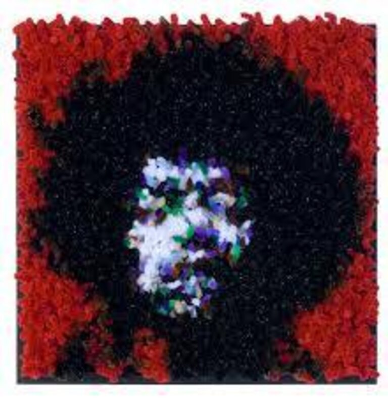 Devorah Sperber, ‘Hendrix 4’, 2009, Installation, 4,096 chenille stems (2 inches long), rigid foam board, wood frame, TAG ARTS
