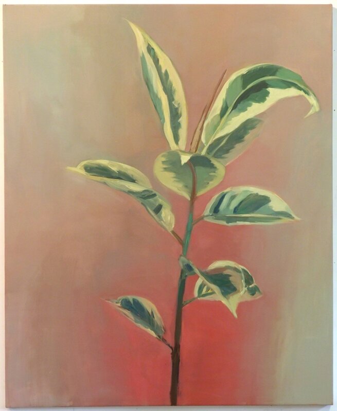 Janet Werner, ‘Plant’, 2014, Painting, Oil on canvas, Birch Contemporary