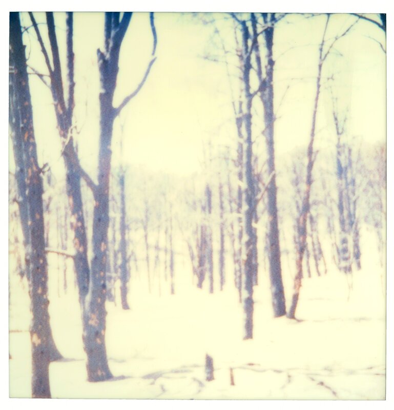 Stefanie Schneider, ‘Frozen IV (Stranger than Paradise)’, 2001, Photography, Digital C-Print, based on a Polaroid, Instantdreams