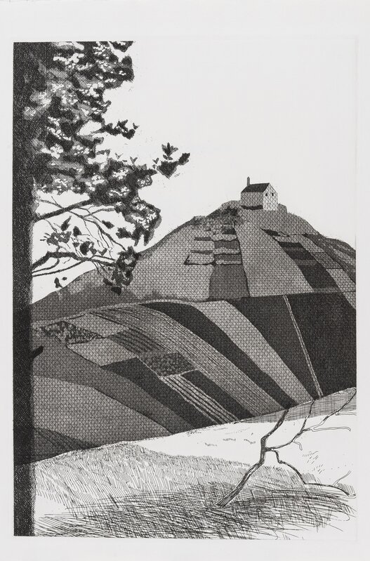 David Hockney, ‘A Wooded Landscape (Tokyo 72)’, 1969, Print, Etching, Forum Auctions