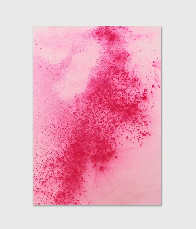 Addie Wagenknecht, ‘July 9’, 2015, Painting, Beet-dyed pigment on canvas, bitforms gallery