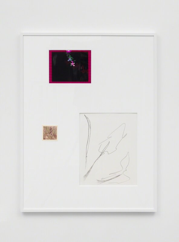 Connor McNicholas, ‘Field Guide’, 2017, Drawing, Collage or other Work on Paper, Found polaroid, graphite on paper, photogram, wood frame, plexiglass, paint, M23