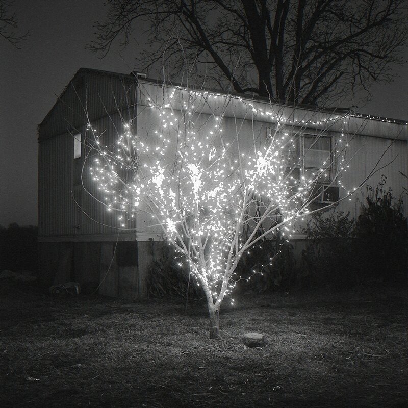 Brandon Thibodeaux, ‘Christmas Tree, Alligator, Mississippi’, 2012, Photography, Archival Inkjet Print, Pictura Gallery