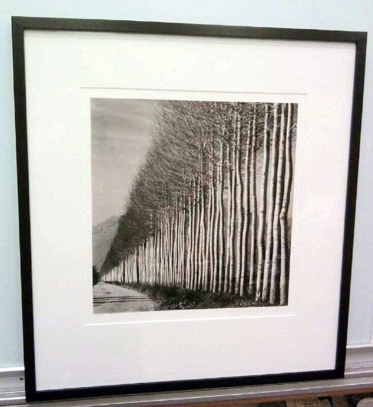 Michael Kenna, ‘Poplar Trees, Fucino, Abruzzo, Italy’, 2016, Photography, Silver Gelatin Print, Weston Gallery