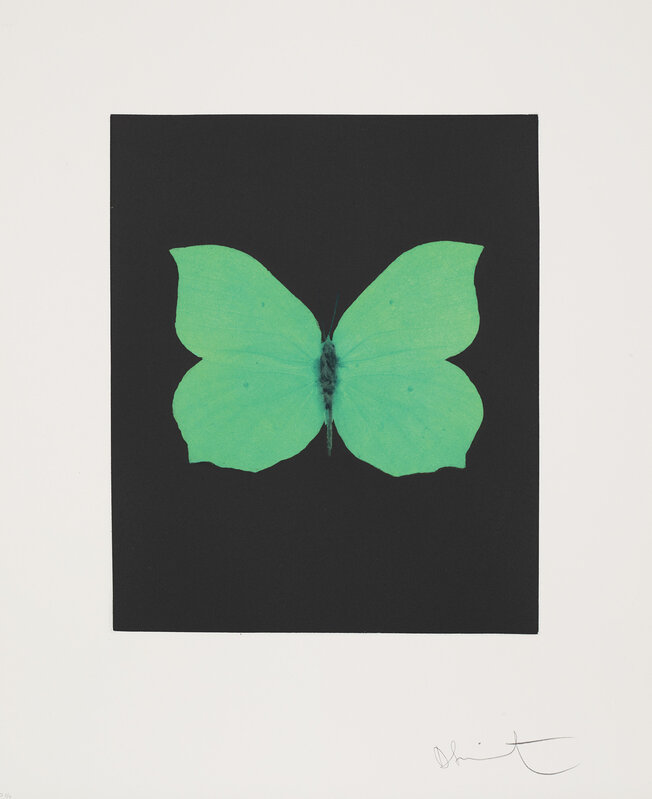 Damien Hirst, ‘Tribulation, from Butterfly Etchings’, 2009, Print, Etching and aquatint in colours, on wove paper, with full margins., Phillips