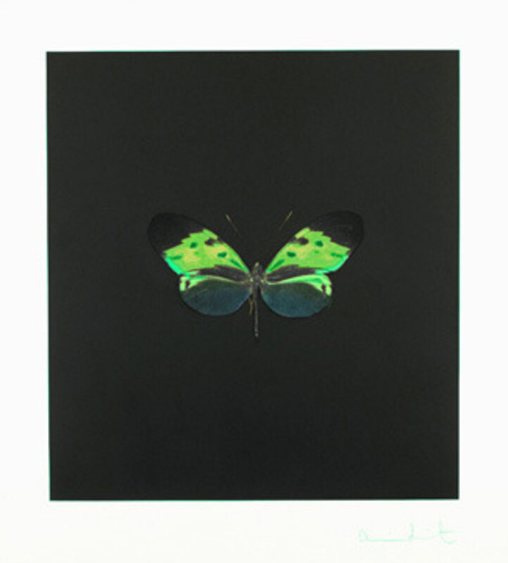Damien Hirst, ‘Small Green’, 2007, Print, Hand inked photogravure on 400 gsm Velin d'Arches, Vertu Fine Art