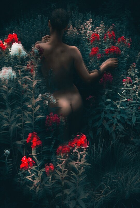 Erik Madigan Heck, ‘Magenta Dawn, The Garden’, 2018, Photography, Chromogenic print, CHRISTOPHE GUYE GALERIE 