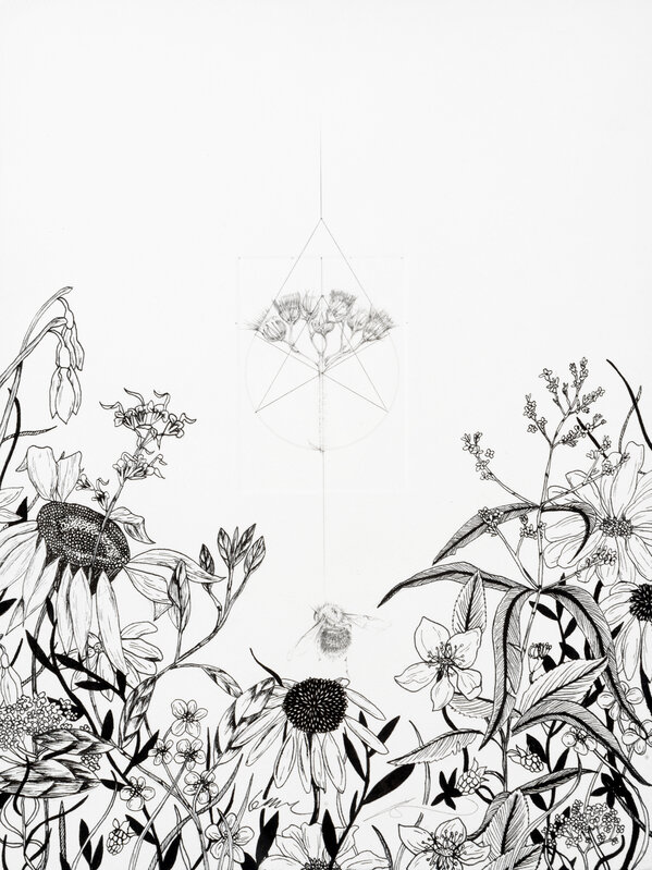 Jessica Albarn, ‘Malu Quo Commonius Eo Peius (Bumble Bee With Meadow Flower)’, 2019, Drawing, Collage or other Work on Paper, Unique, ink and pencil drawing on paper, Tate Ward Auctions