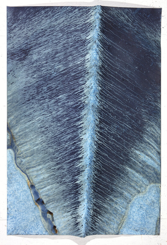 Meghann Riepenhoff, ‘Ecotone #424 (Bainbridge Island, WA 06.01.18, Sun Showers, Draped + Propped)’, 2018, Photography, Dynamic cyanotype, Jackson Fine Art