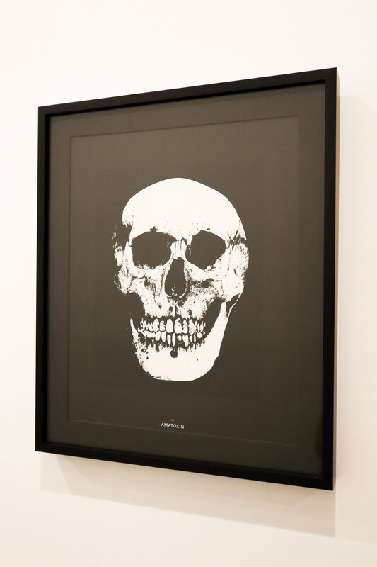Damien Hirst, ‘Ill: Amatoxin From "Poisons & Remedies" Book’, 2010, Posters, Poster in black metal frame, ALLGORITHIM