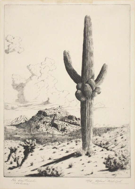 Alfred R. Waud, ‘The Sentinel (Sahuaro)’, 20th century, Print, Etching and aquatint, Indianapolis Museum of Art at Newfields