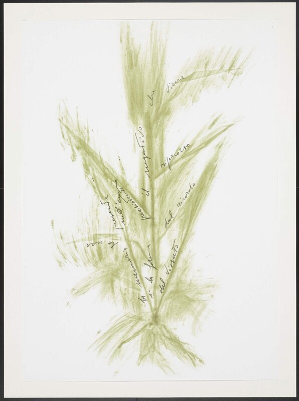 Giuseppe Penone, ‘Trentatré Erbe (Thirty-three Herbs)’, 1989, Books and Portfolios, 33 original lithographs & photolithographs glued on Fabriano paper, Samhart Gallery