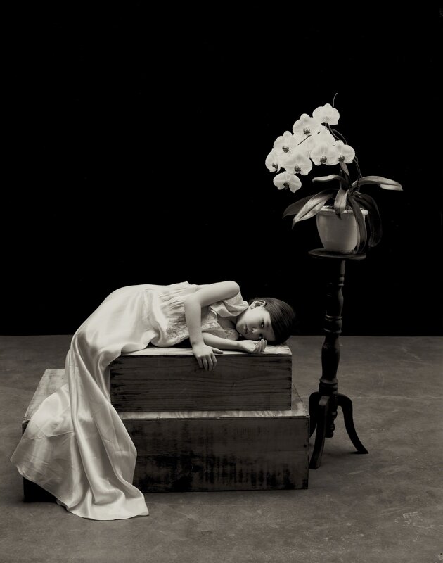 Zoë Zimmerman, ‘My Orchid’, 2009, Photography, Albumen Print, photo-eye Gallery