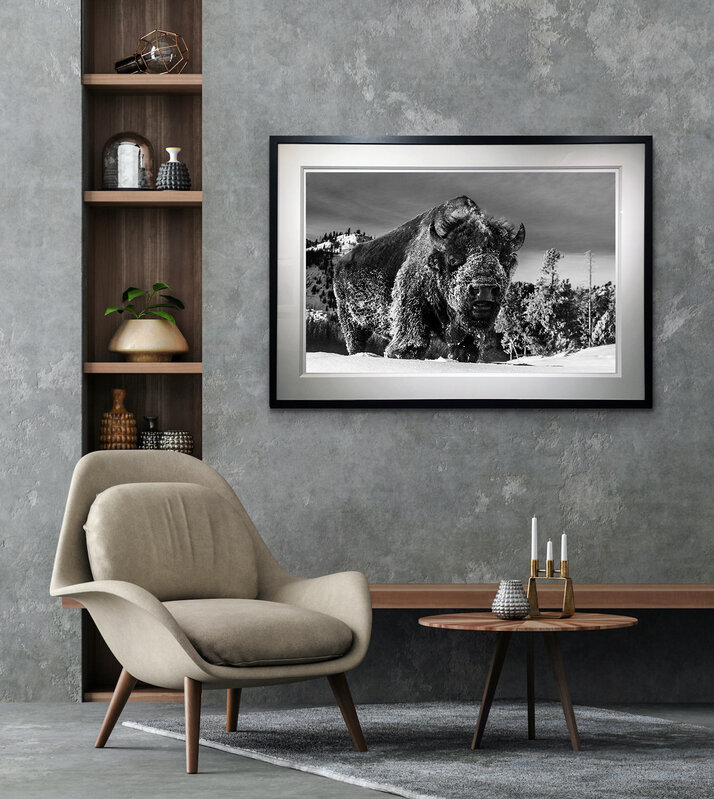 David Yarrow, ‘The Beast of Yellowstone’, 2021, Photography, Archival Pigment Print, Samuel Lynne Galleries