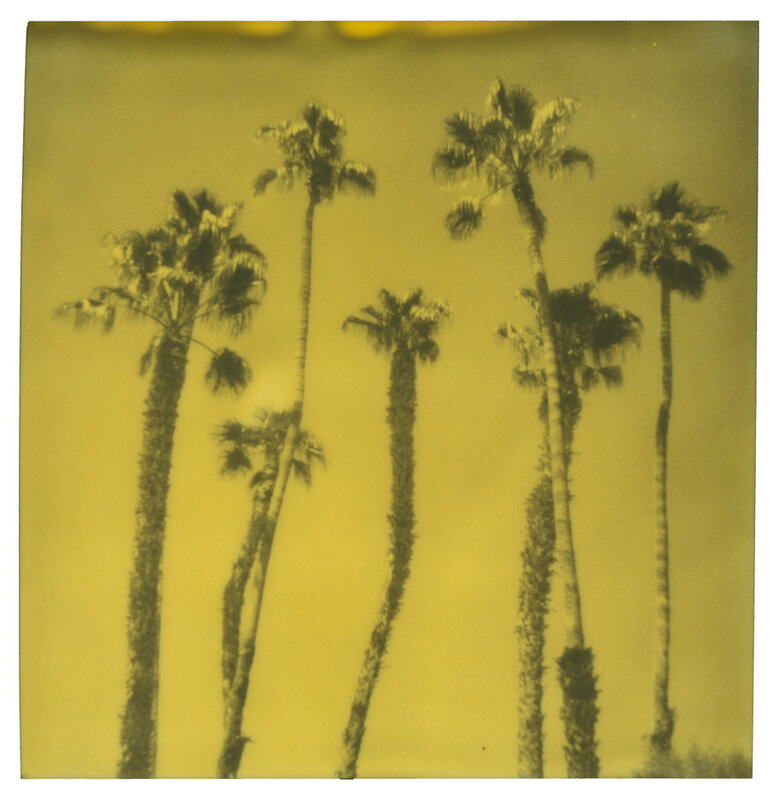 Stefanie Schneider, ‘Palm Springs Palm Trees VIII’, 2019, Photography, Digital C-Print, based on a Polaroid, Instantdreams