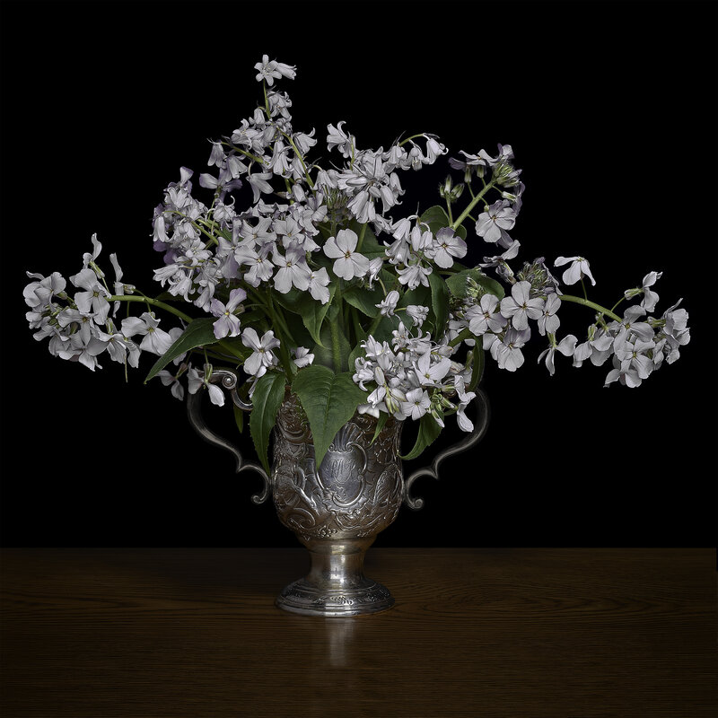 T.M. Glass, ‘Woodland Scilla and Phlox in a Silver Cup’, 2019, Print, Impression d’archive avec pigments / Archival Pigment Print, Galerie de Bellefeuille