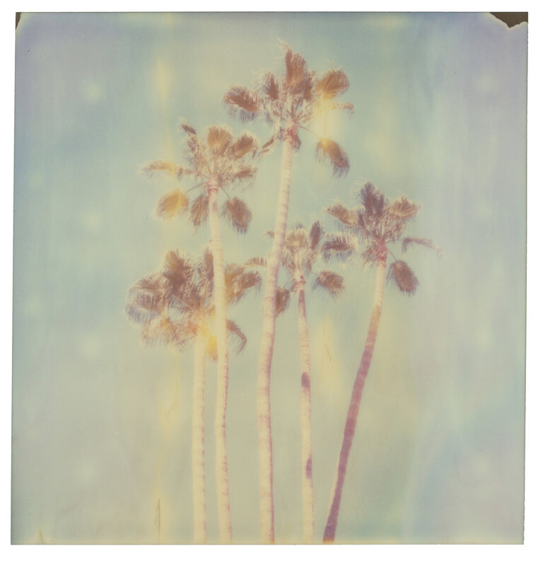 Stefanie Schneider, ‘Palm Springs Palm Trees X’, 2019, Photography, Digital C-Print, based on a Polaroid, Instantdreams