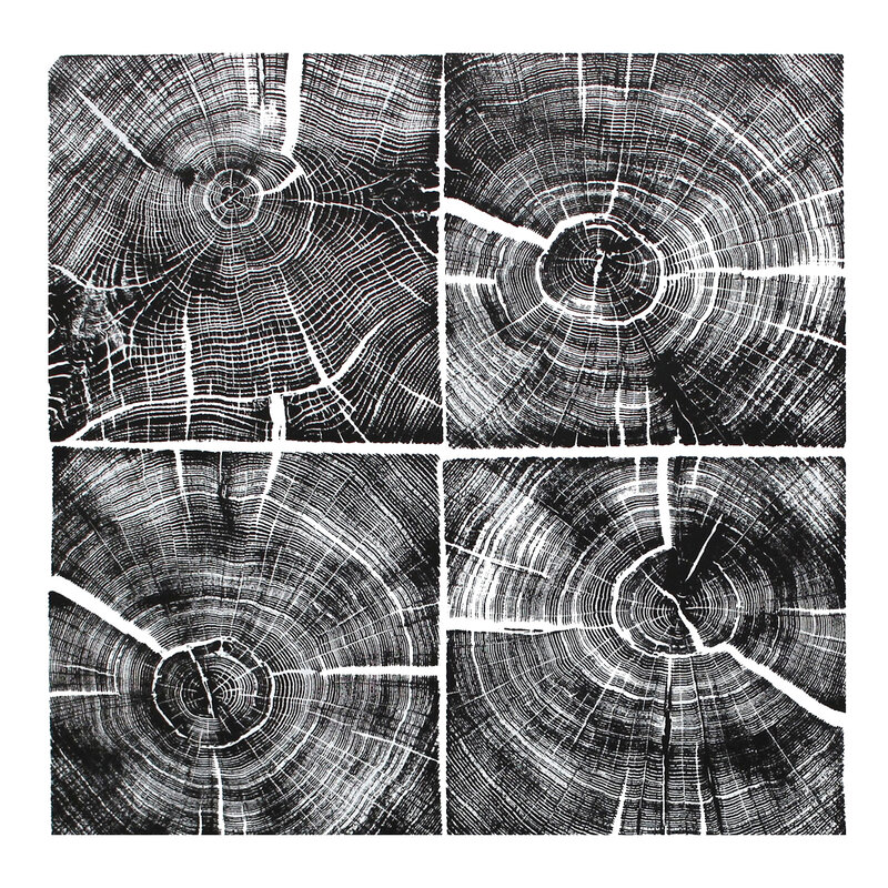 Andre Mirzaian, ‘Quatre Carrés de Chêne Noir’, 2017, Print, Ink on archival paper, Open Mind Art Space