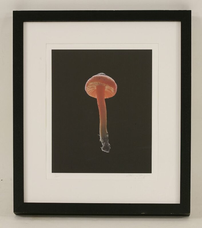 Susan Derges, ‘Fruitbody No.37’, 2000, Print, Dye destruction photogram printed in colours, Sworders