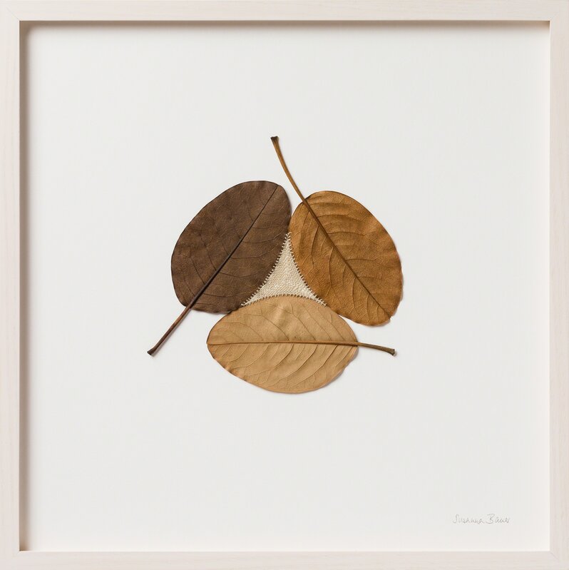 Susanna Bauer, ‘Three II’, 2017, Mixed Media, Magnolia Leaves, Cotton Yarn, Muriel Guépin Gallery