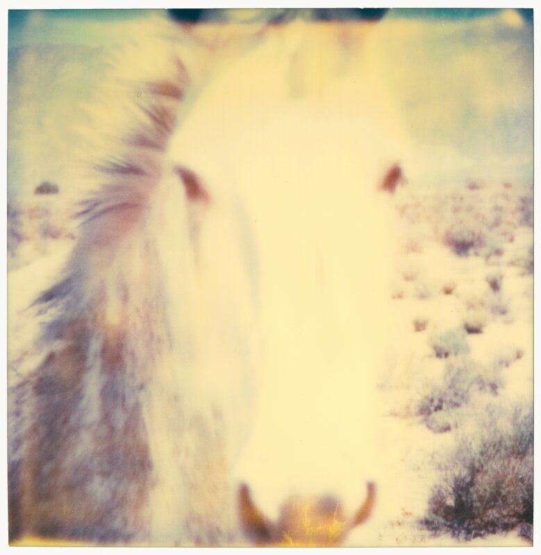 Stefanie Schneider, ‘Mind Screen - Contemporary, Portrait, Horse, Polaroid, Photograph, Dream’, 2005, Photography, Digital C-Print, based on a Polaroid, Instantdreams