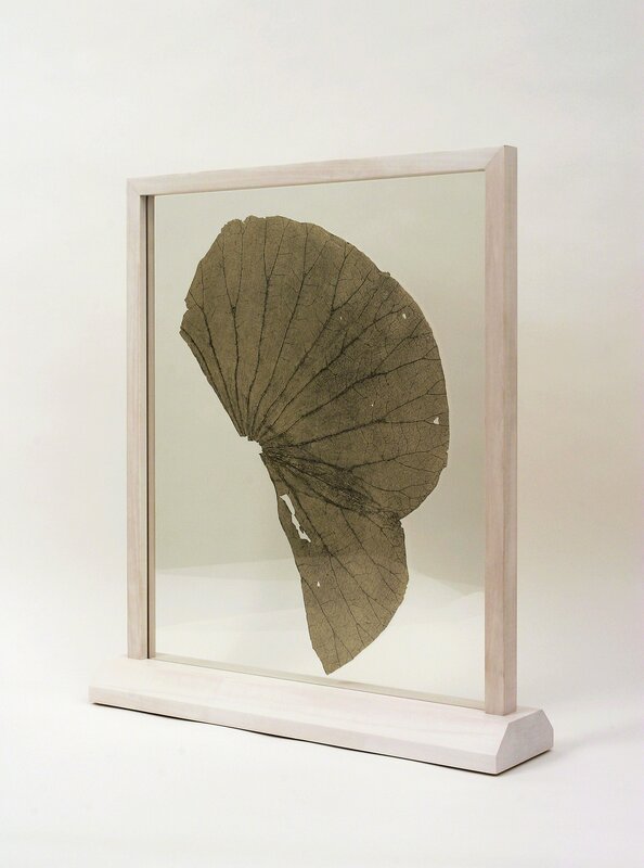 Gabriel Orozco, ‘Lotus Leaf’, 2003, Print, Soft ground etching on gampi paper, white wood frame, Marian Goodman Gallery