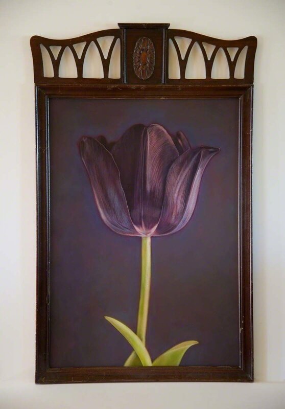 Kate Breakey, ‘Black Tulip V, from Black Tulip Series’, 2016, Photography, Archival pigment prints hand colored with oils and pencils in unique vintage frames, Etherton Gallery