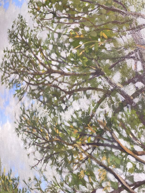 Richard Raiselis, ‘Cloudy Pine’, 2022, Painting, Oil on linen, Gallery NAGA