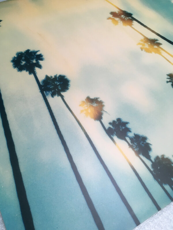 Stefanie Schneider, ‘Palm Trees at Wilcox (Stranger than Paradise)’, 1999, Photography, Digital C-Print based on a Polaroid, mounted on Dibond with matte UV-Protection, Instantdreams