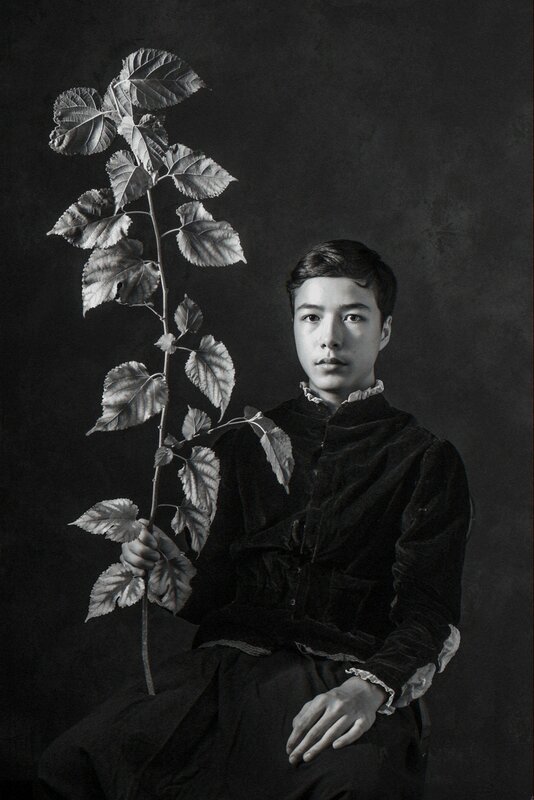 Stanley Fung, ‘Young Twig’, 2014, Photography, Photography, Digital Fine Art Print on Hahnemühle Paper, Artrue Gallery