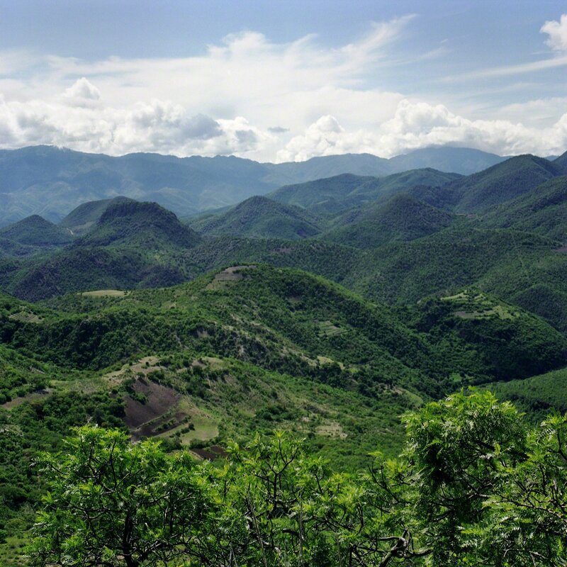 Amie Potsic, ‘Oaxaca, Mexico – Mountain Foliage’, 2010, Photography, Archival Pigment Print, InLiquid