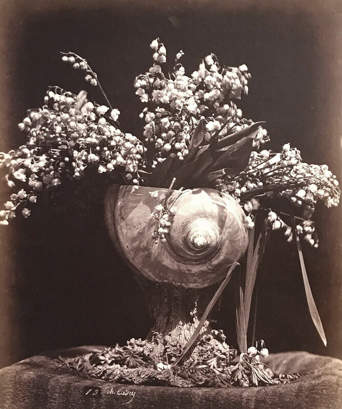 Charles Aubry, ‘Lilies of the Valley in a Nautilus Shell (Muguet dans une Conque)’, ca. 1864, Photography, Albumen print from wet plate negative on original mount, Contemporary Works/Vintage Works