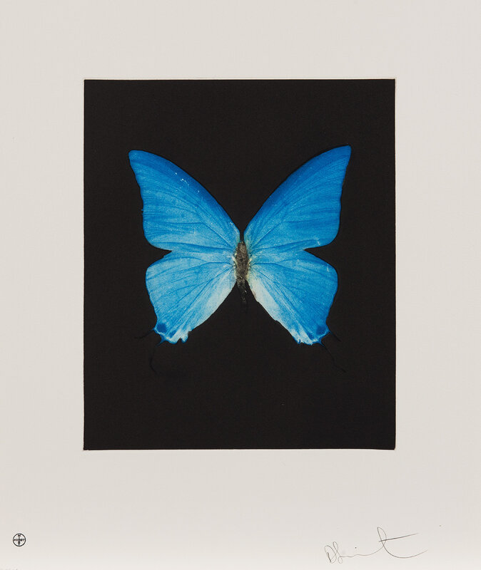 Damien Hirst, ‘Providence, from Butterfly Etchings’, 2009, Print, Etching and aquatint in colors, on wove paper, with full margins., Phillips