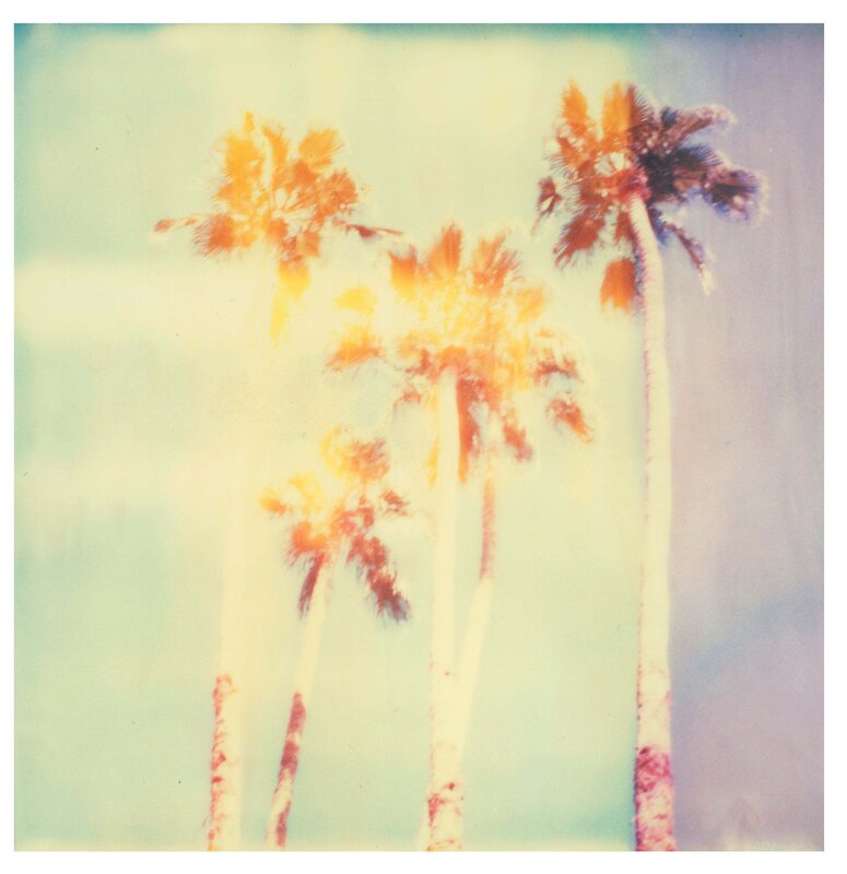 Stefanie Schneider, ‘Palm Springs Palm Trees II (Californication)’, 2016, Photography, Digital C-Print based on a Polaroid, not mounted, Instantdreams